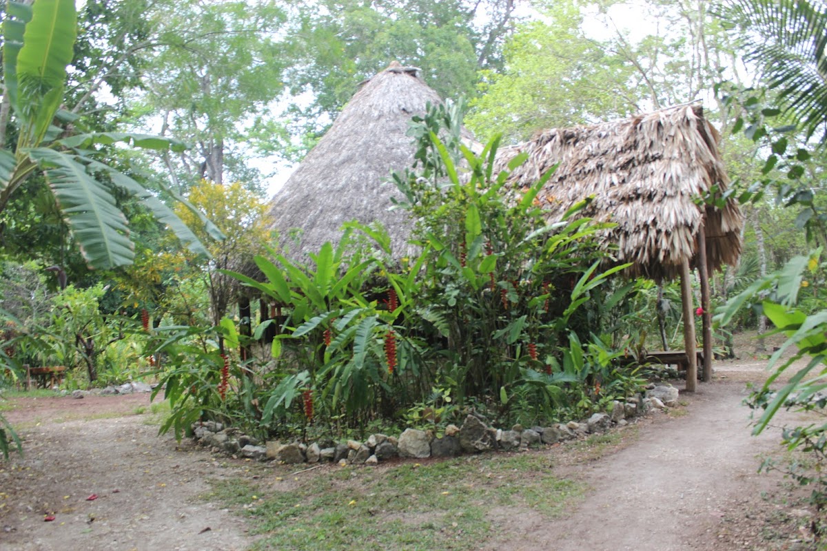 Rawspa Belize gallery 7