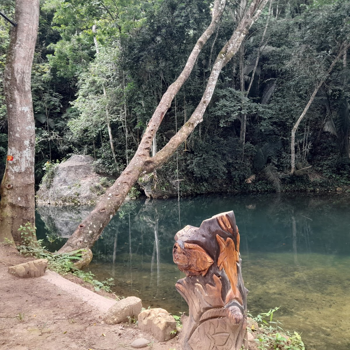 Barton Creek Unique Resort and Camp Ground gallery 5