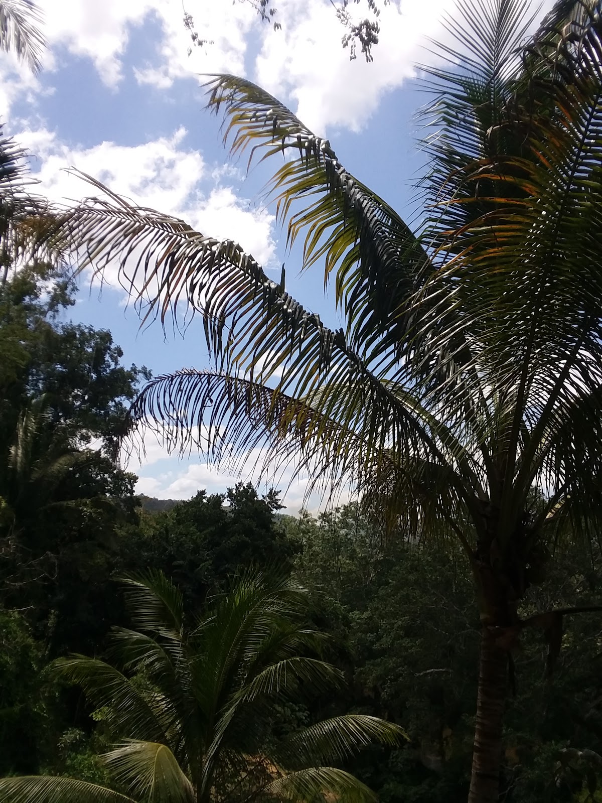 Guacamayo Campground gallery 3