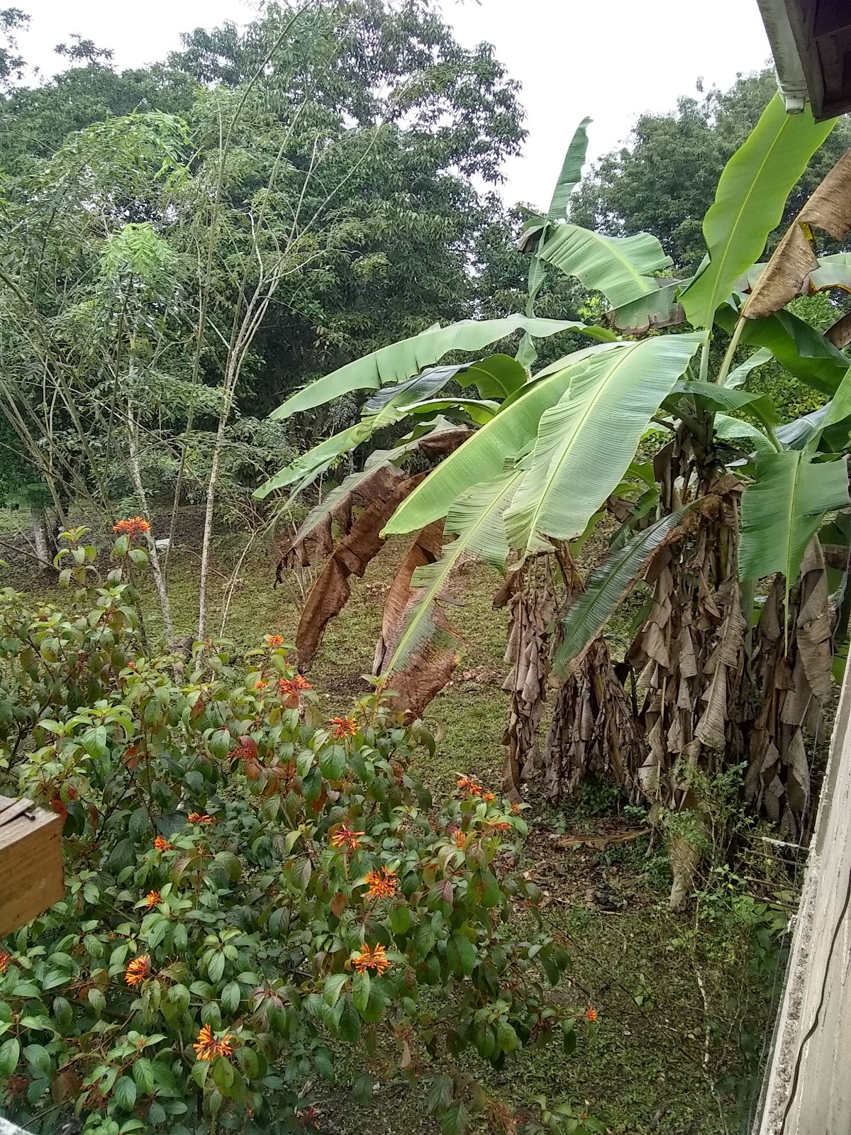 Xultun Farm gallery 3