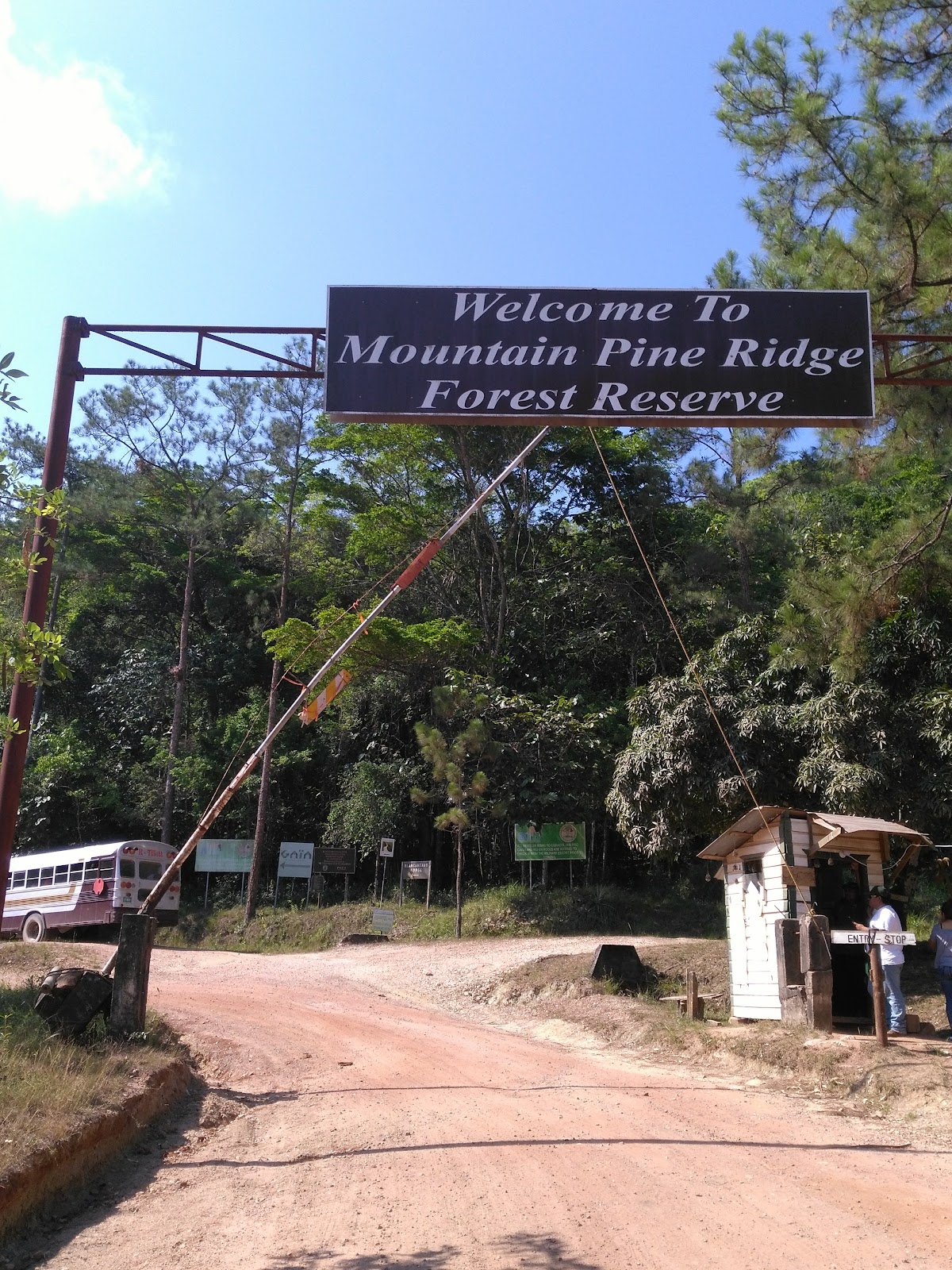 Mountain Pine Ridge | Explore Belize gallery 2