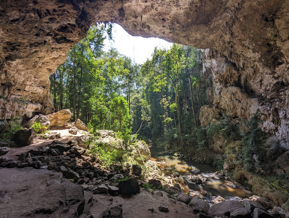 Mountain Pine Ridge | Explore Belize gallery 5