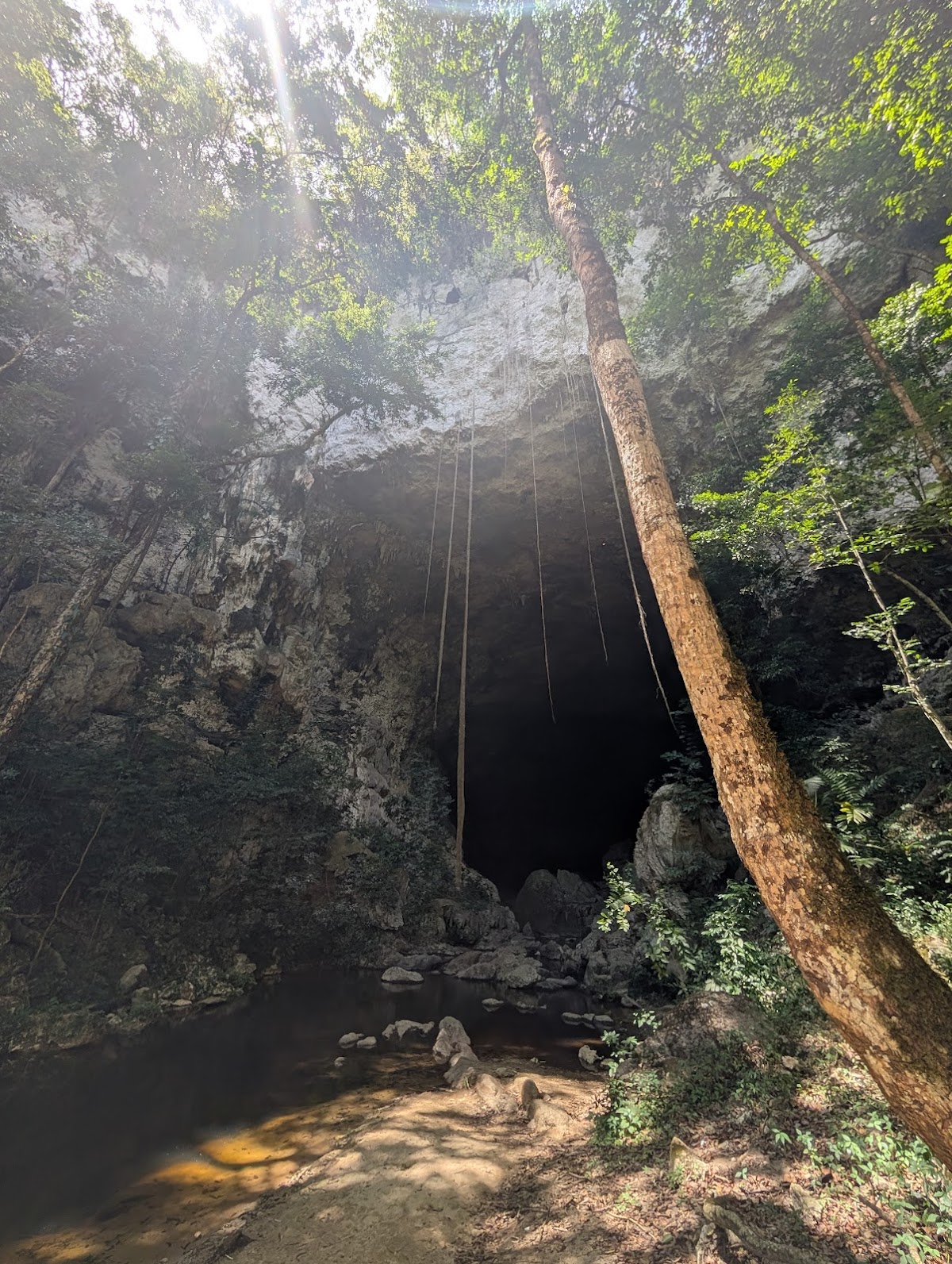 Mountain Pine Ridge | Explore Belize gallery 9