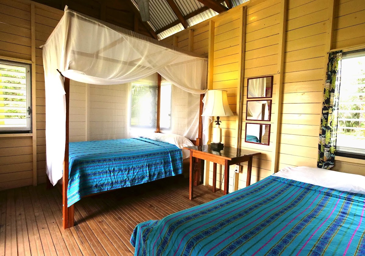 Lower Dover Jungle Hotel & Maya Ruins gallery 2