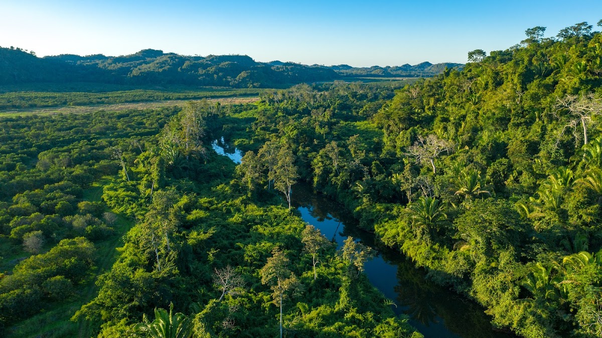 Ian Anderson's Caves Branch Jungle Lodge gallery 9