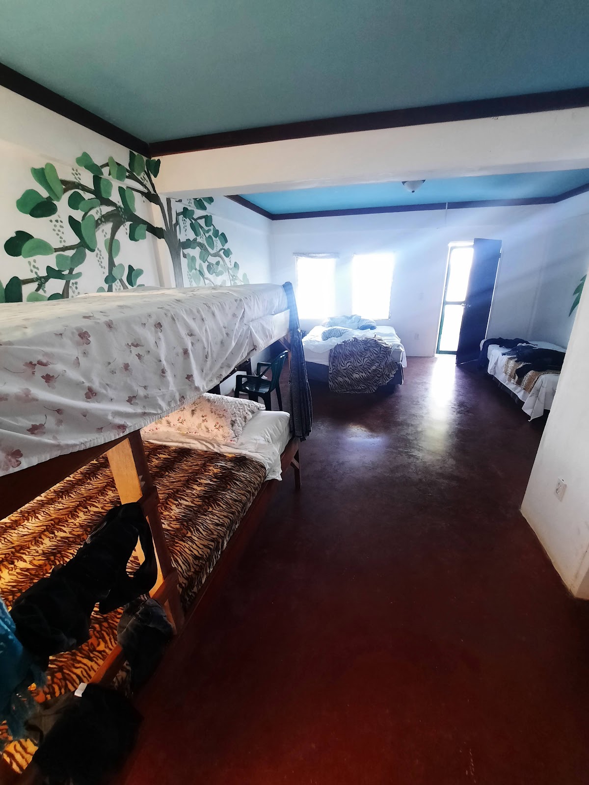 Manatee Lodge Gales Point Belize gallery 2