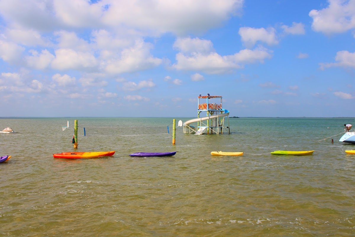 Daphne's Lagoon Lodge gallery 8