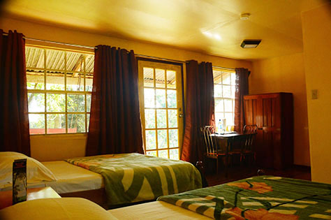 Howler Monkey Resort & Nature Park gallery 6