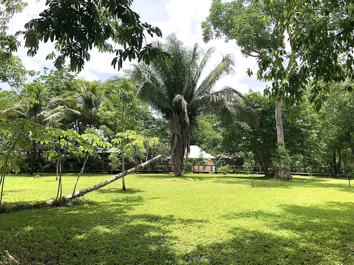 Howler Monkey Resort & Nature Park gallery 7