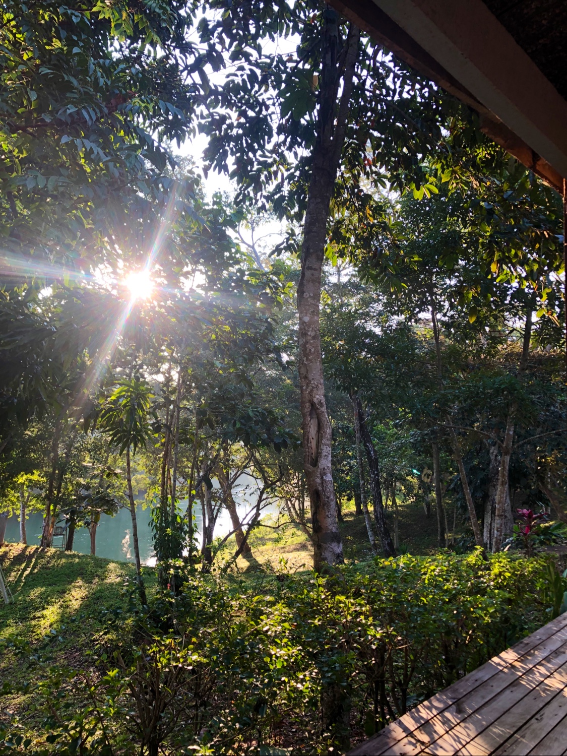 Howler Monkey Resort & Nature Park gallery 8