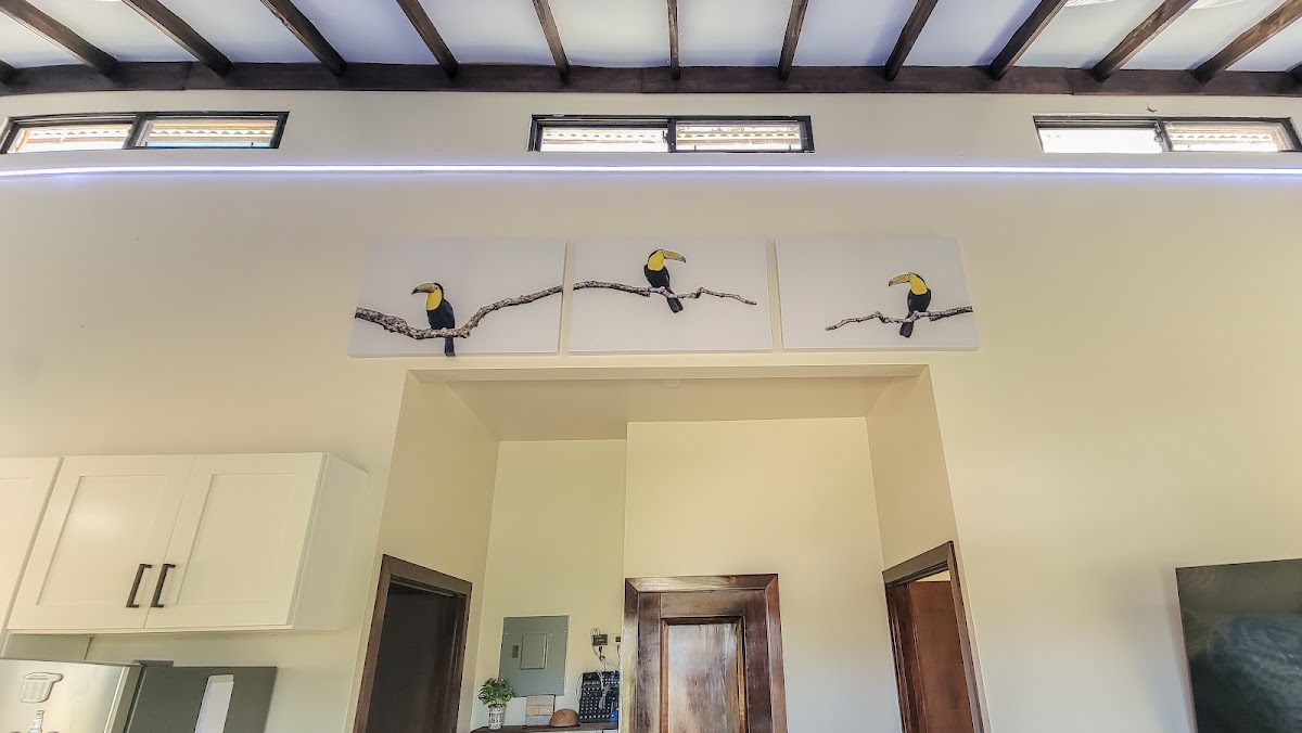 Modern Toucan Farmhouse - Belmopan Escape gallery 9