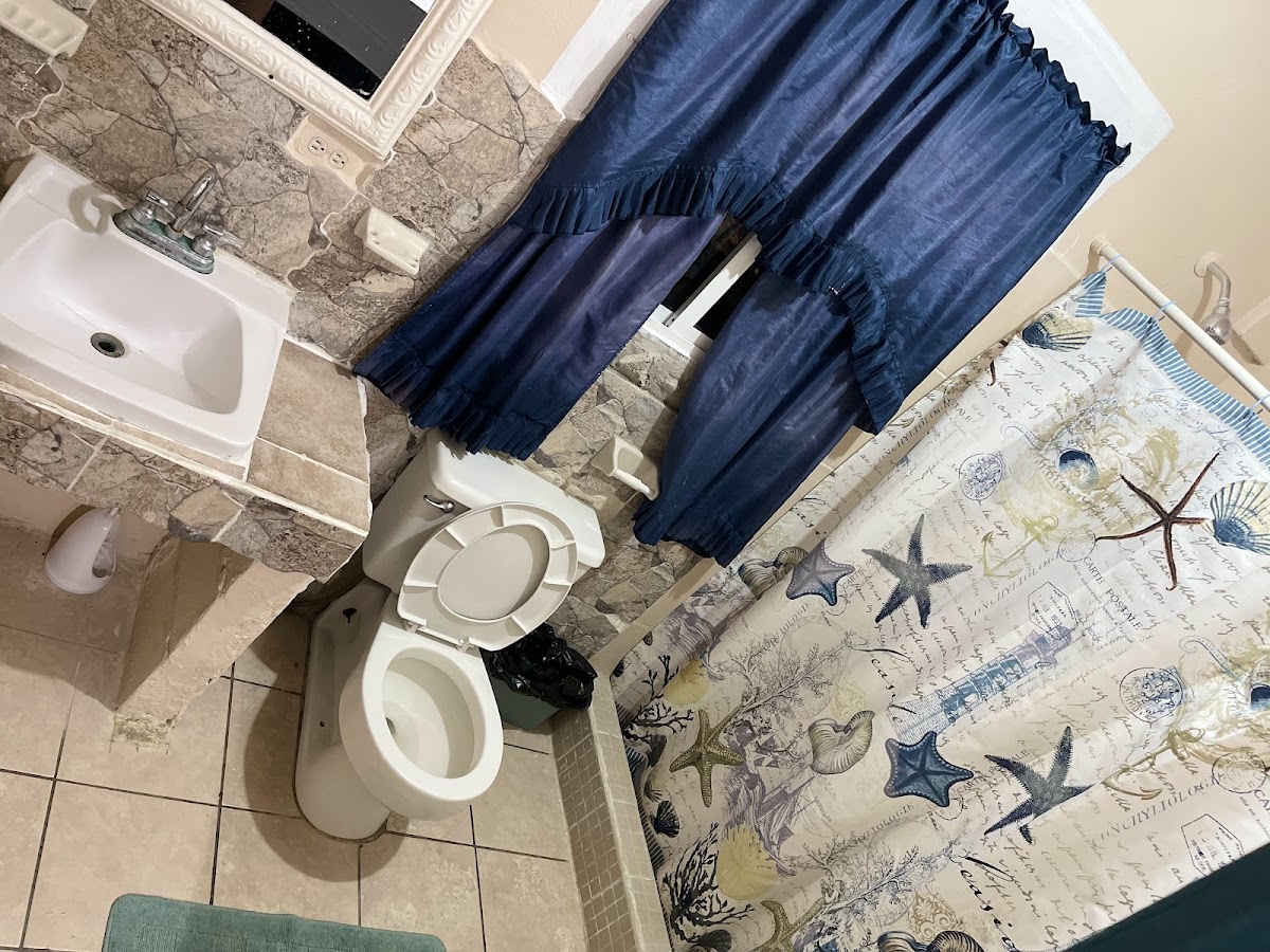 Las Palmeras Guest House gallery 3