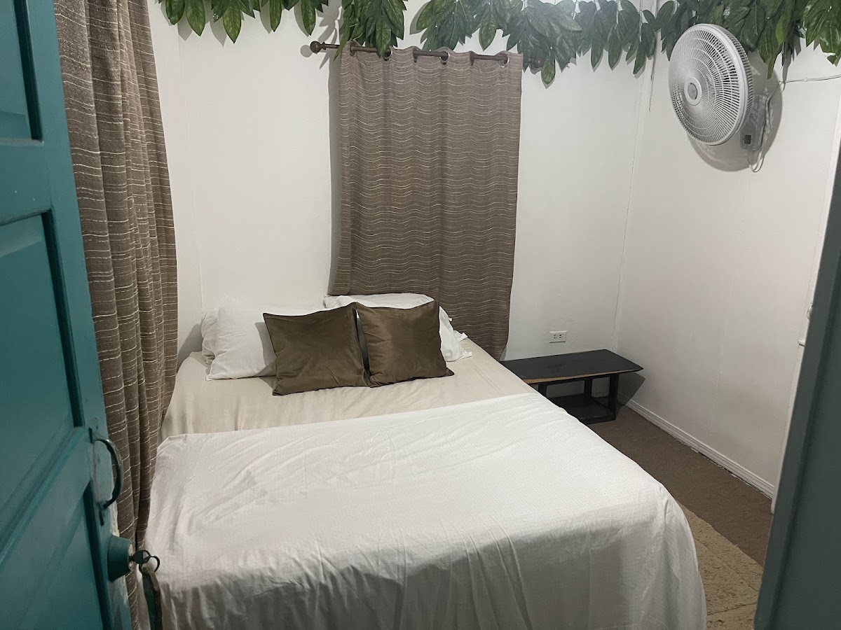 Las Palmeras Guest House gallery 8