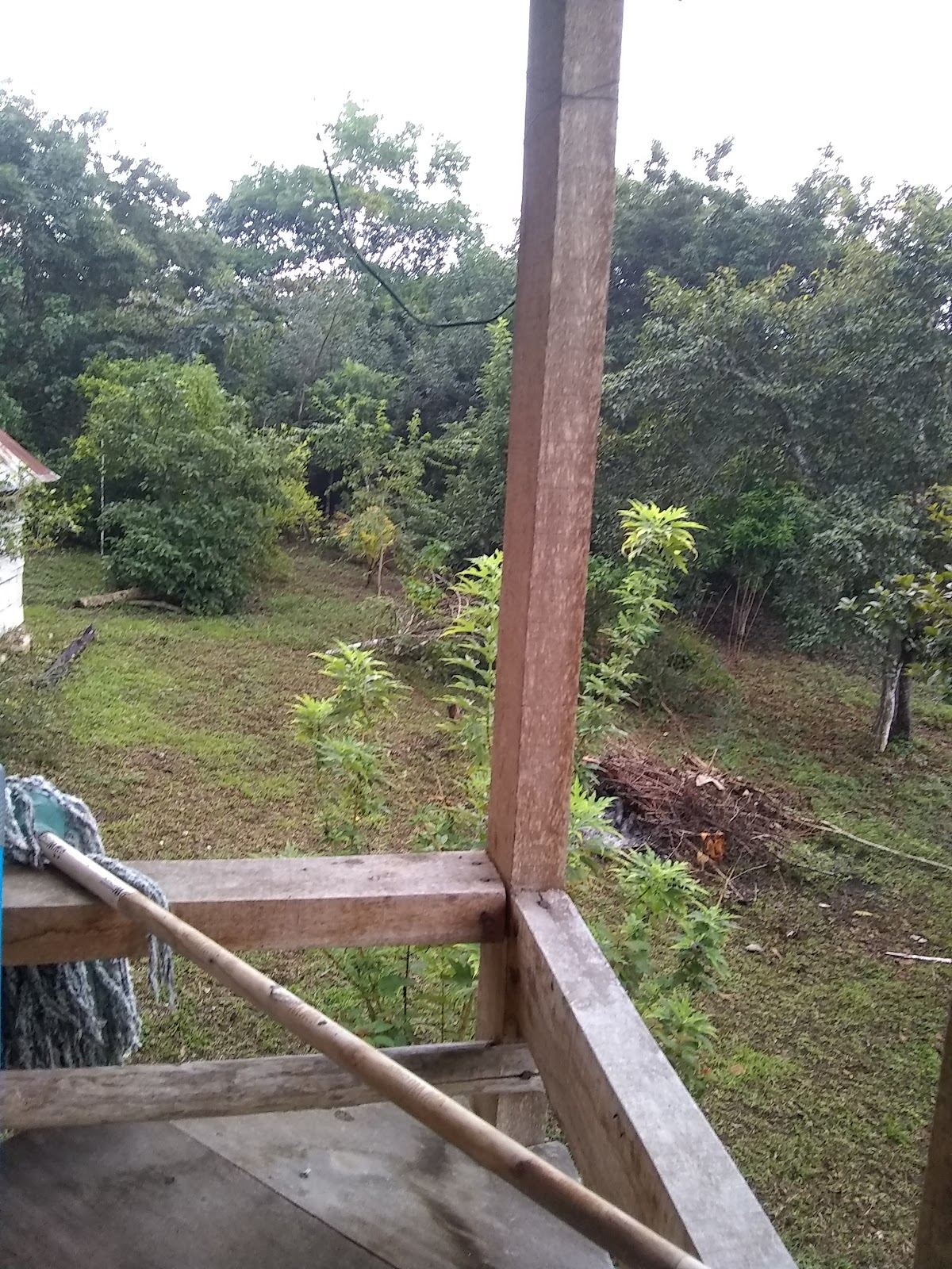 Xultun Farm gallery 5