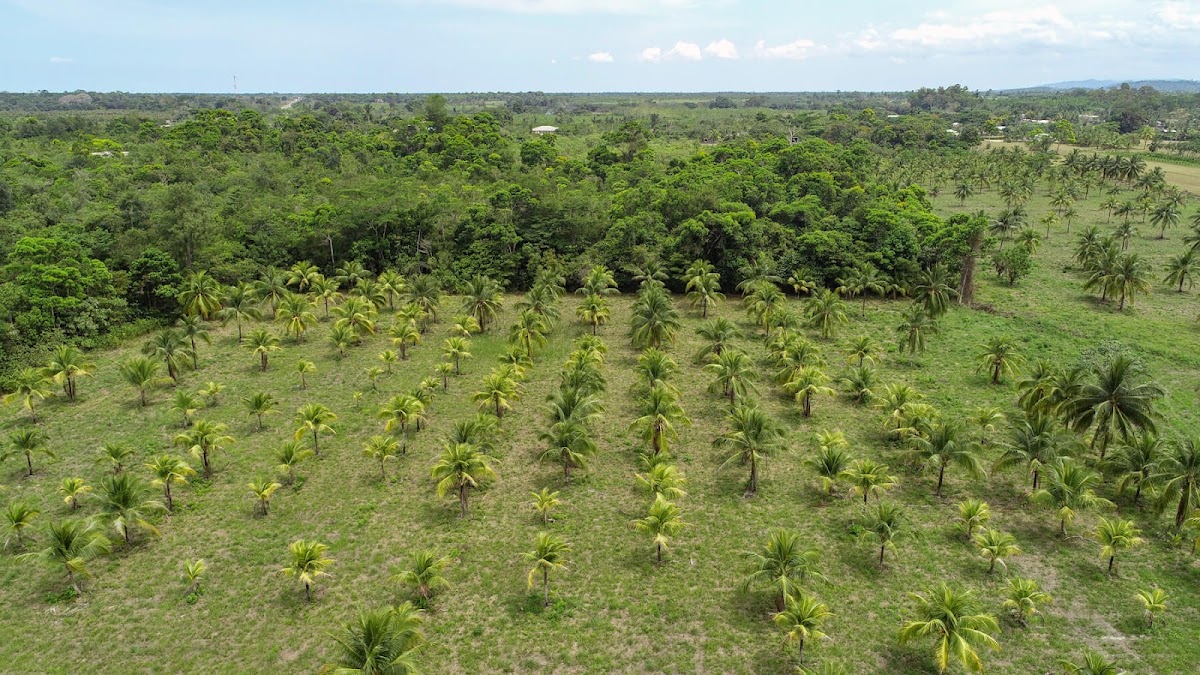 Hope Creek Coconut Hideaway cover
