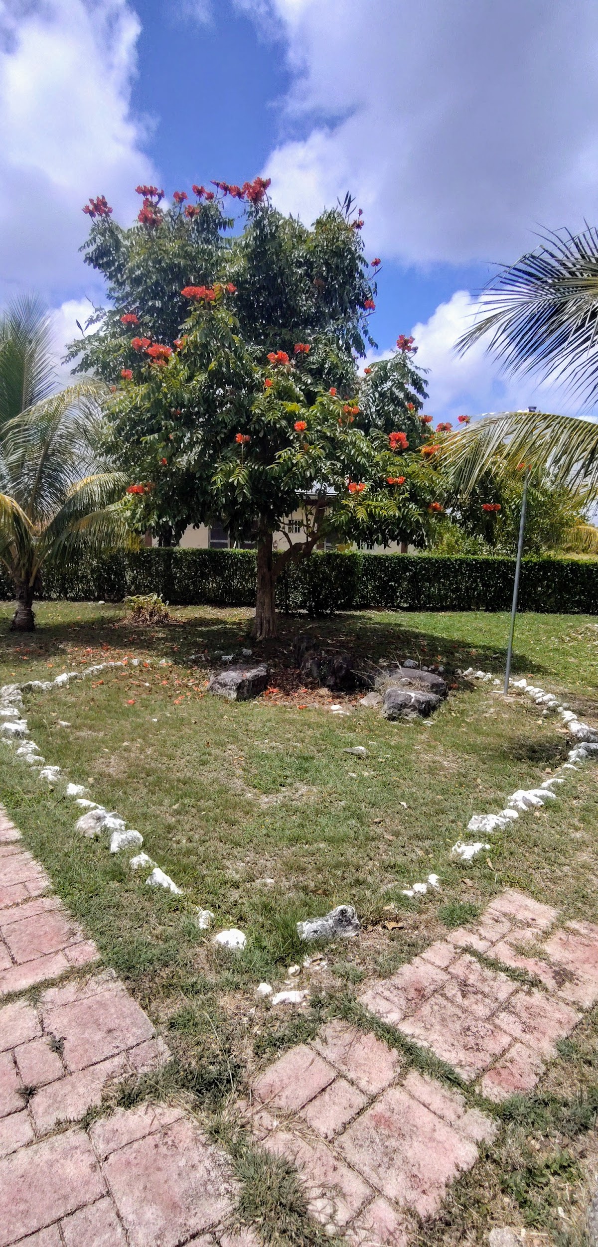 Amani Garden Home gallery 2