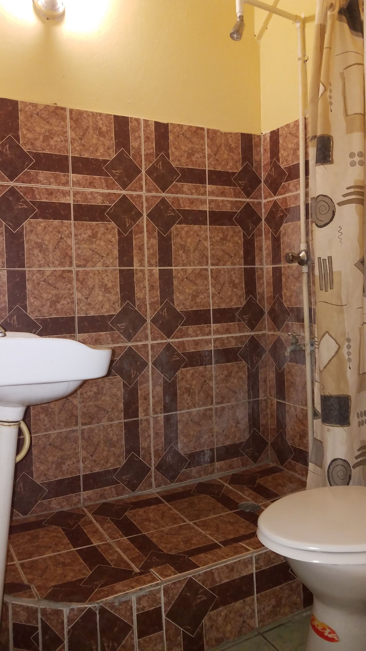 Pelayo's Apartments & Rooms Rentals gallery 3