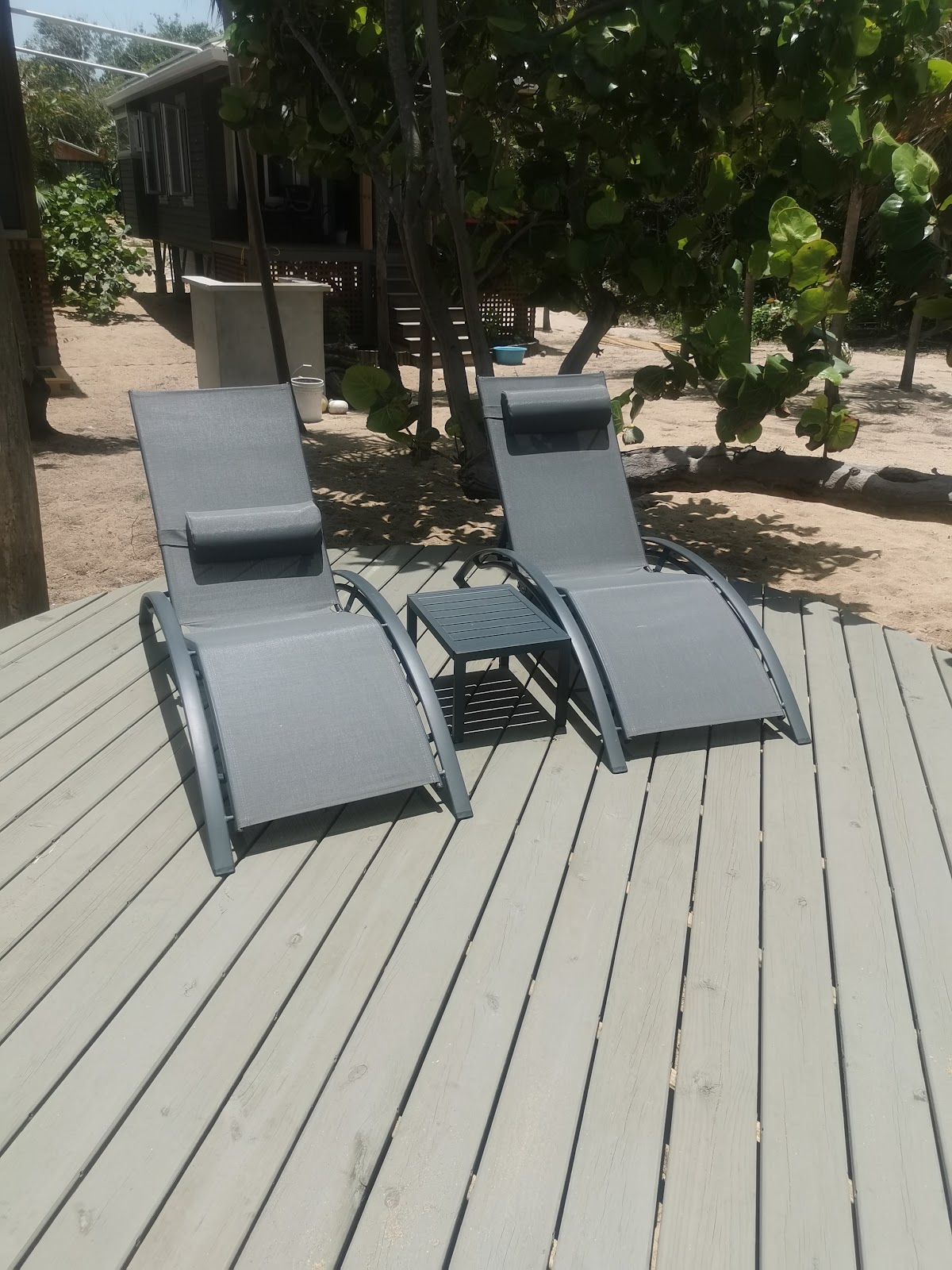 The Happee Manatee gallery 7