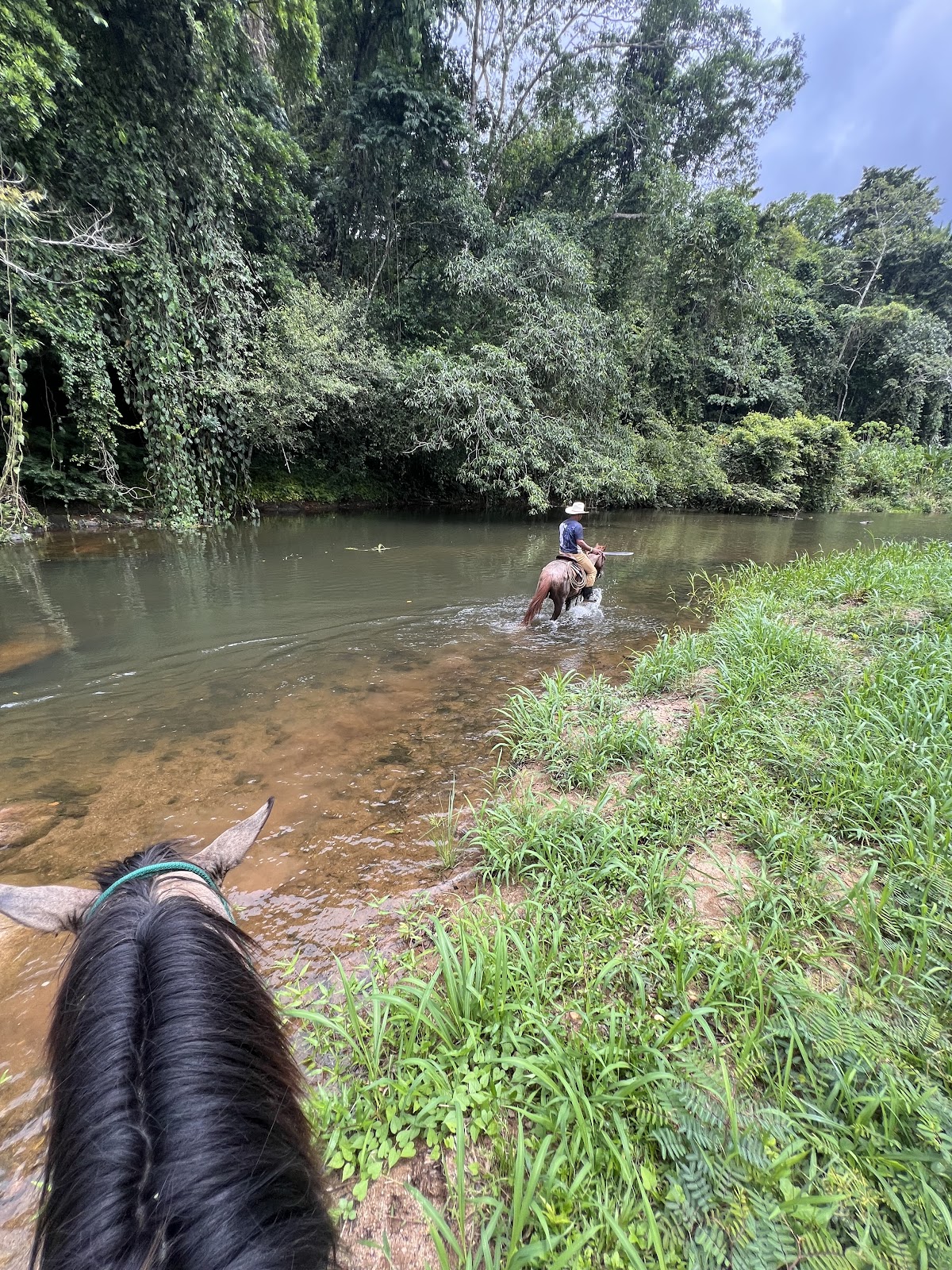Mountain View Ranch – Jungle Cabin & Horseback Riding gallery 2