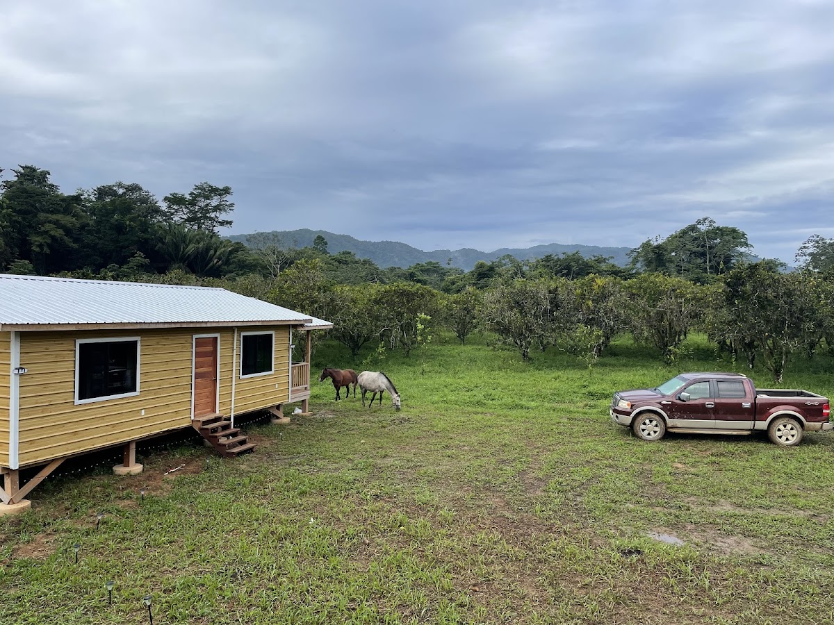 Mountain View Ranch – Jungle Cabin & Horseback Riding gallery 9