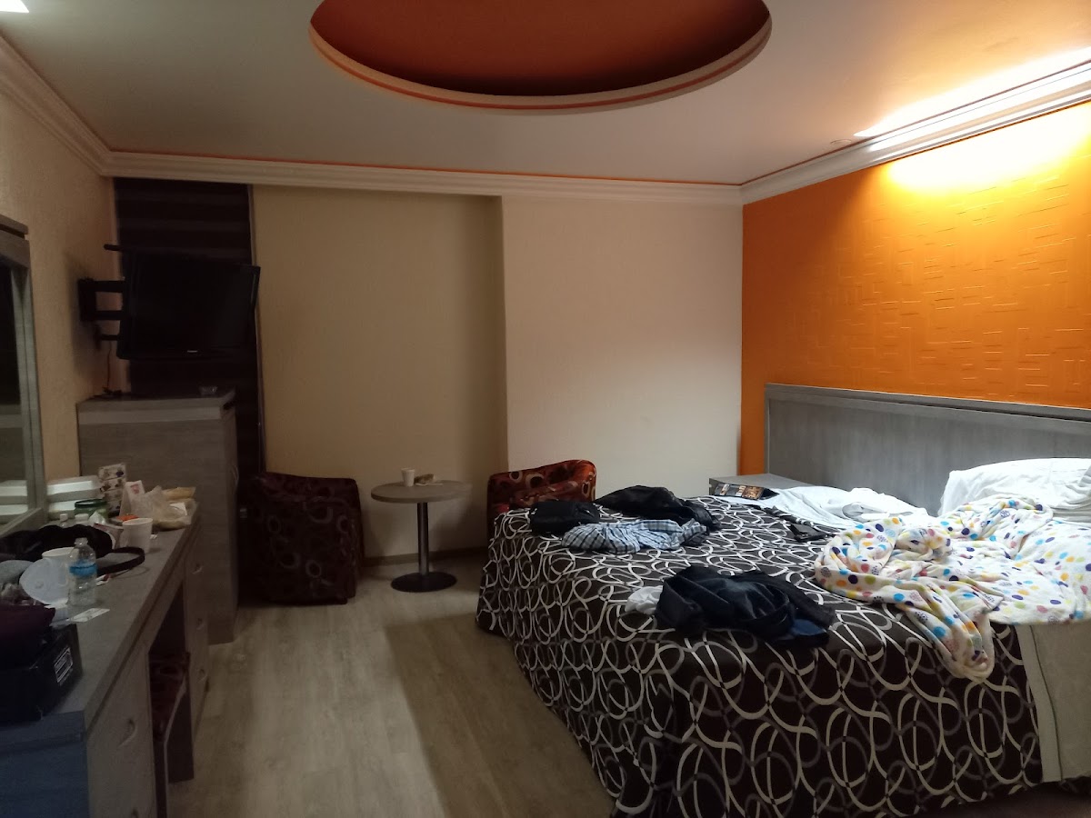 Hotelera Ambos Mundos, S.A. De C.V. gallery 2