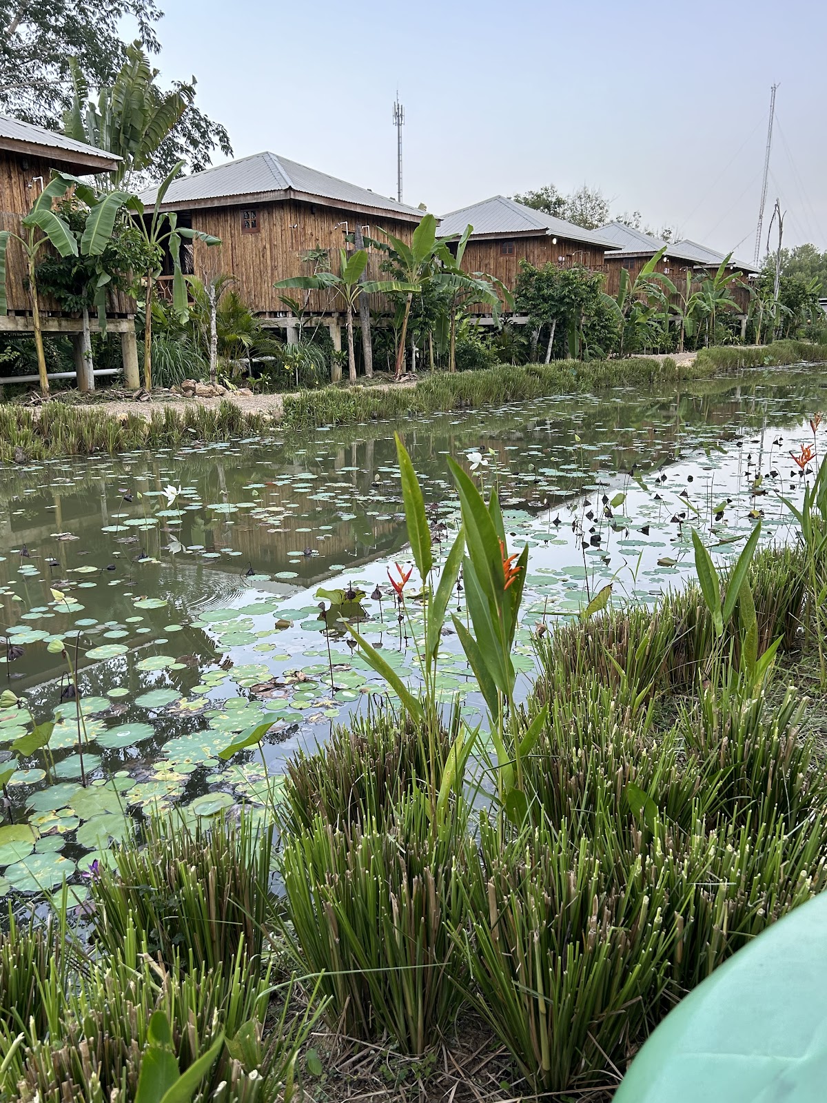 Tropical Magnolia Resort cover
