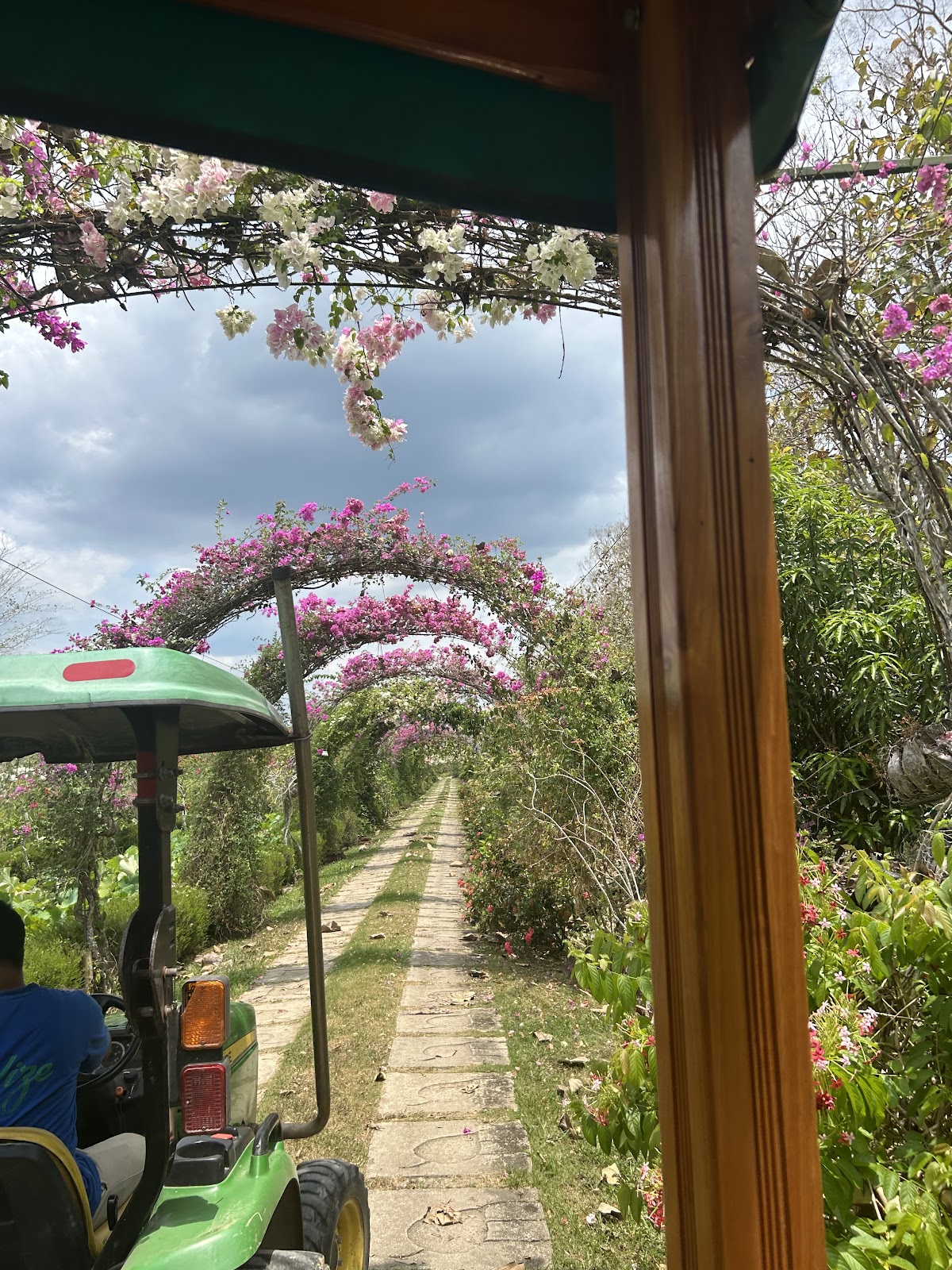 Tropical Magnolia Resort gallery 4