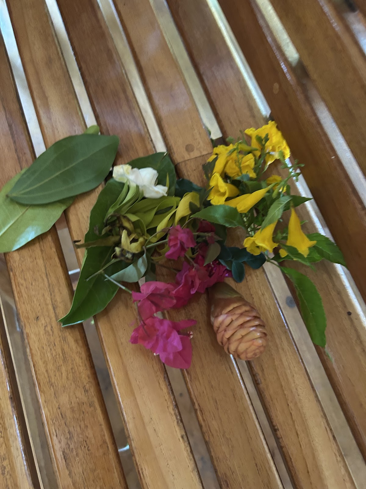 Tropical Magnolia Resort gallery 6