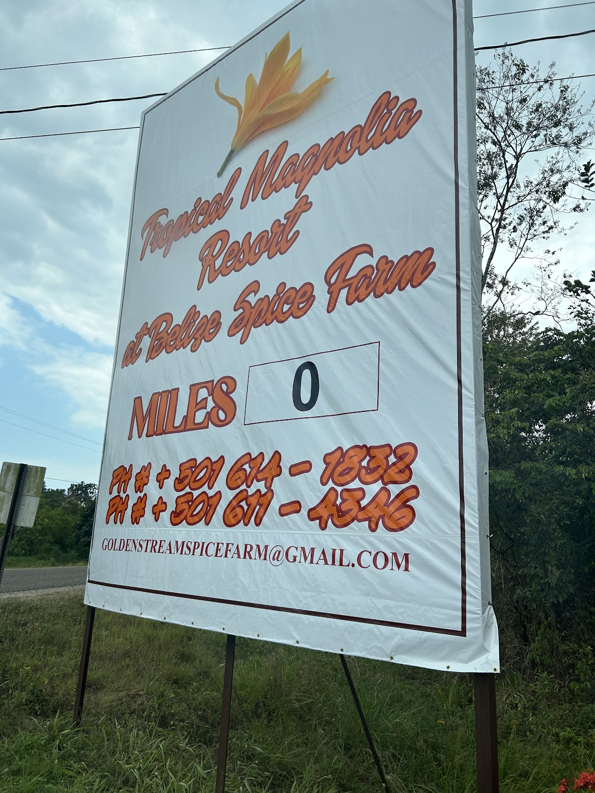 Tropical Magnolia Resort gallery 7