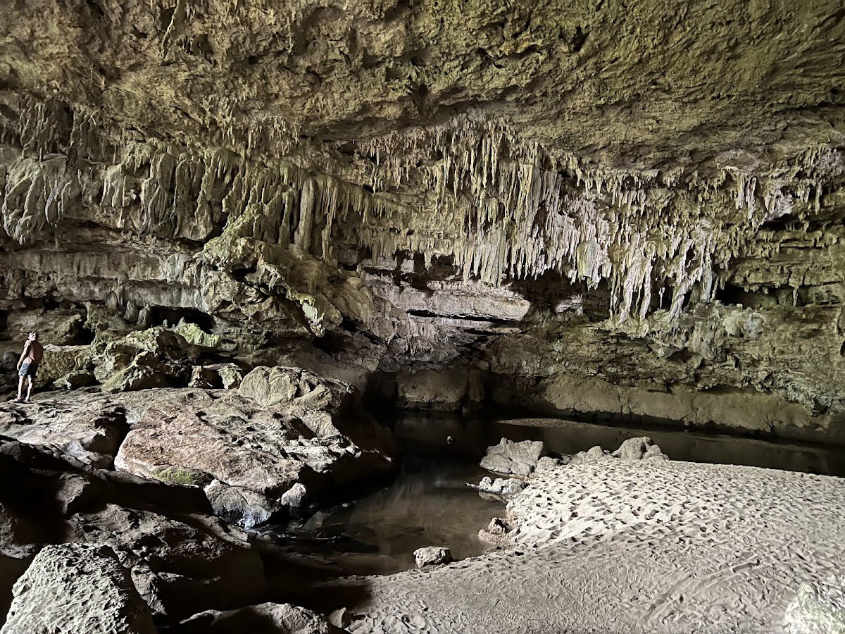 Rio Frio Cave cover