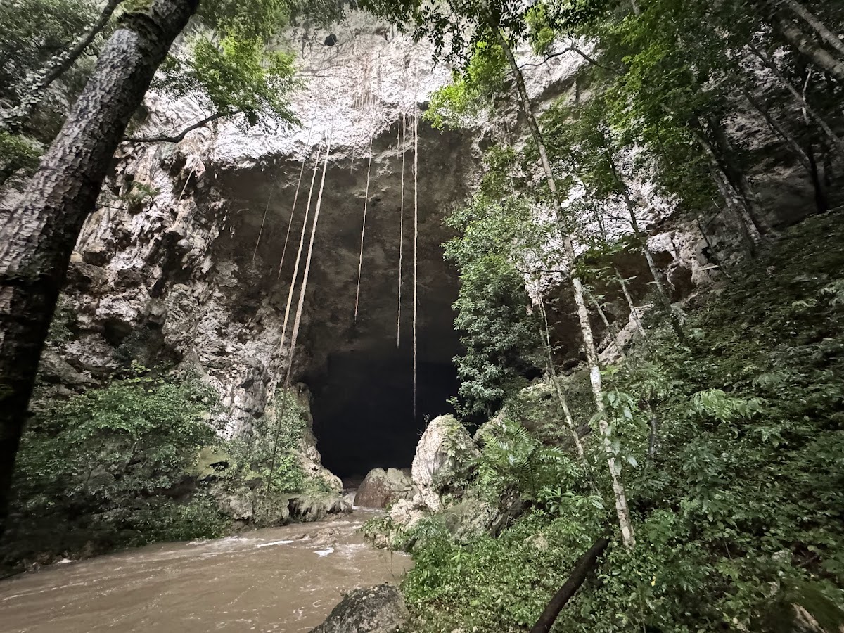 Rio Frio Cave gallery 2