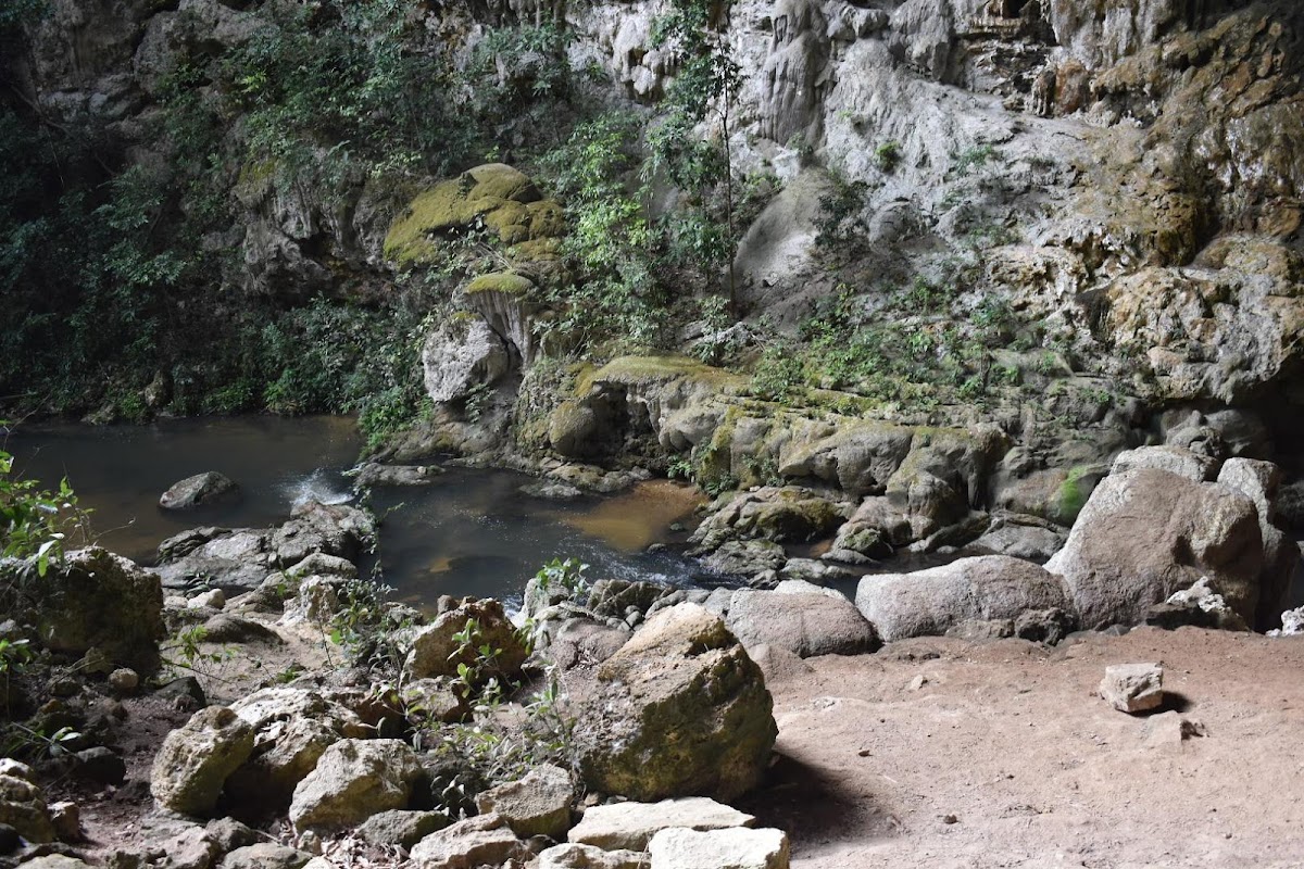 Rio Frio Cave gallery 9