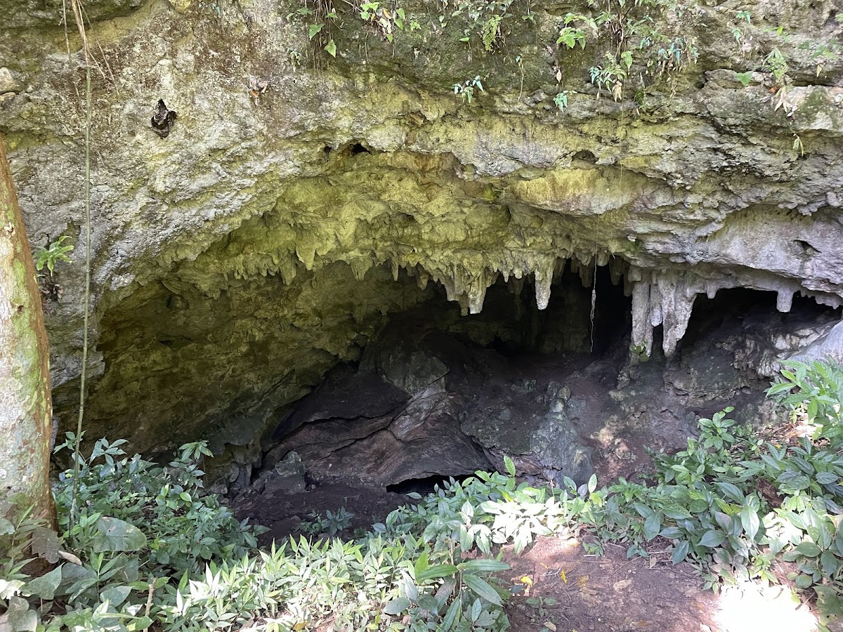 Mountain Pine Ridge gallery 7