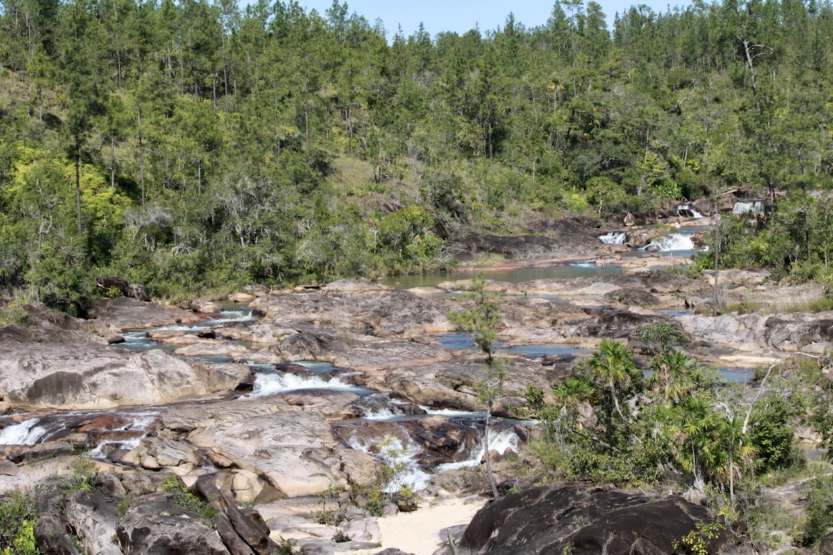 Mountain Pine Ridge gallery 8