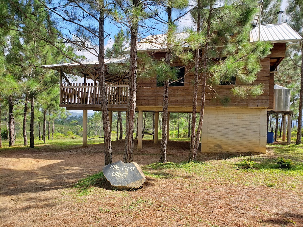 Pine Crest Chalet gallery 3