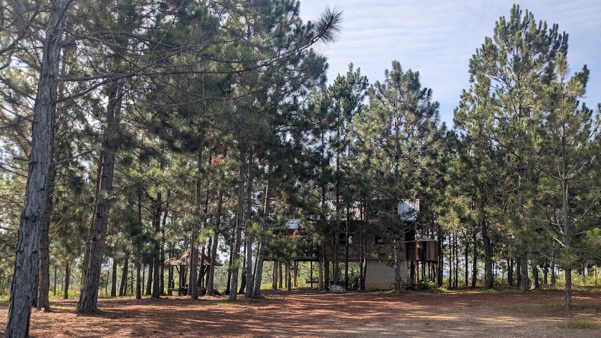Pine Crest Chalet gallery 4