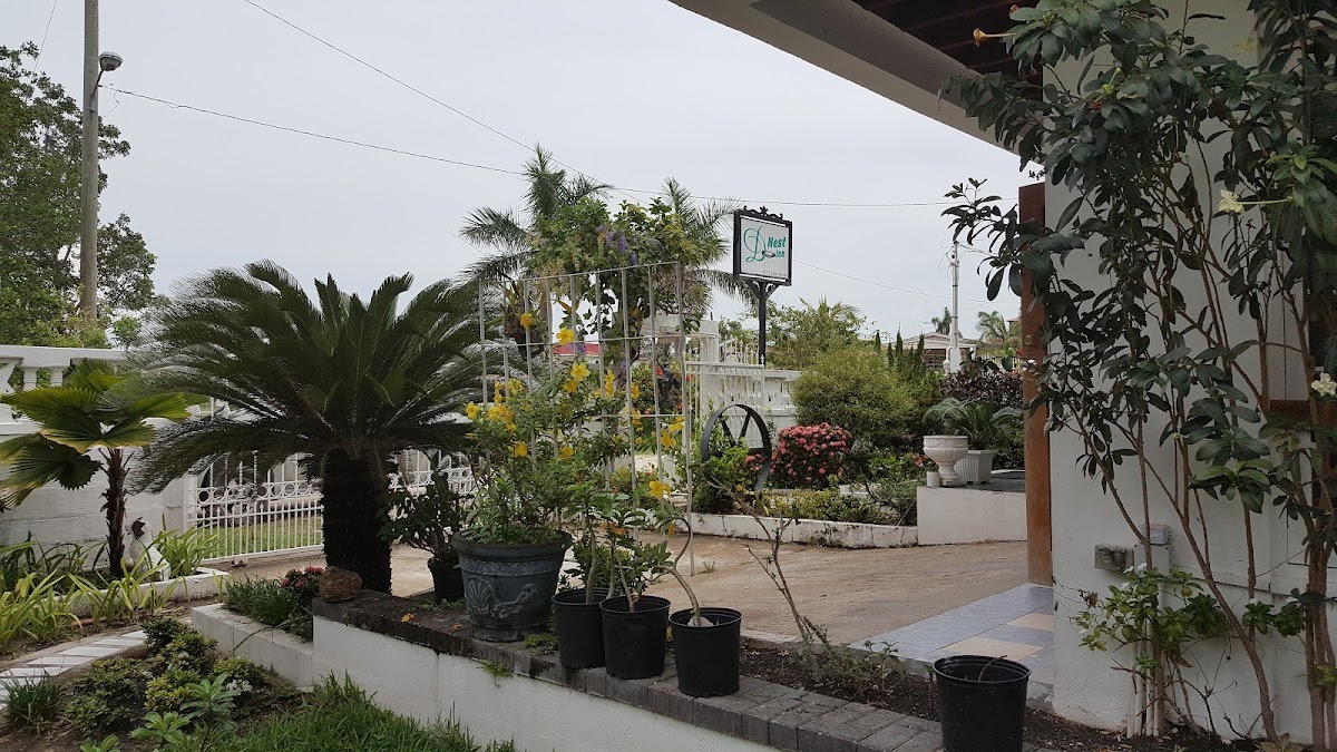 D'Nest Inn gallery 5
