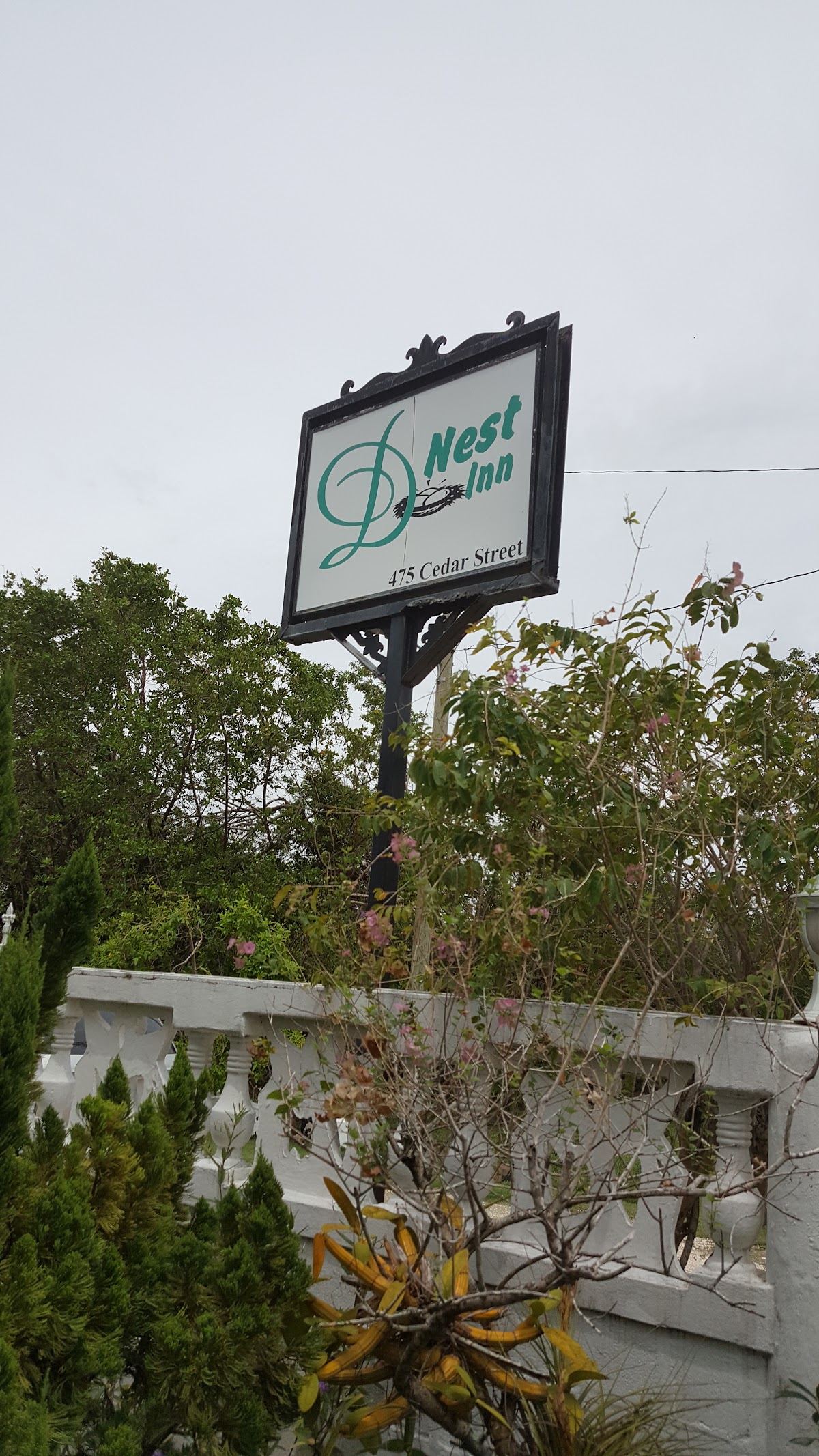 D'Nest Inn gallery 10