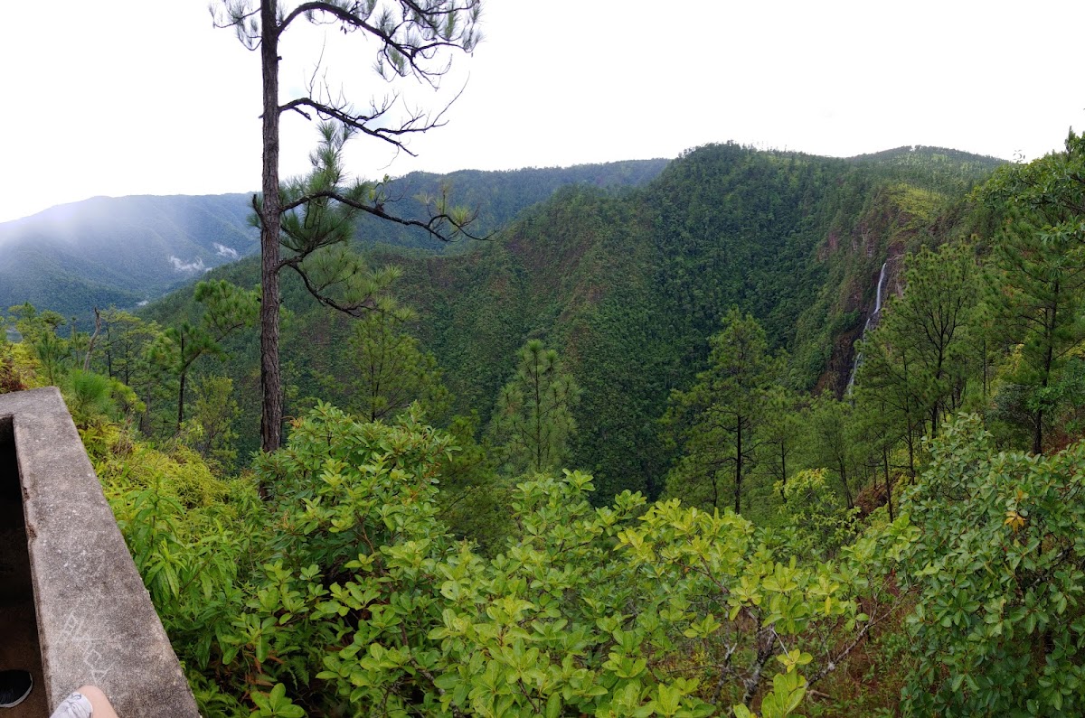 Thousand Foot Falls gallery 2