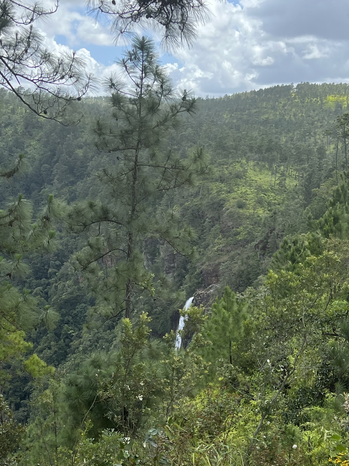 Thousand Foot Falls gallery 4
