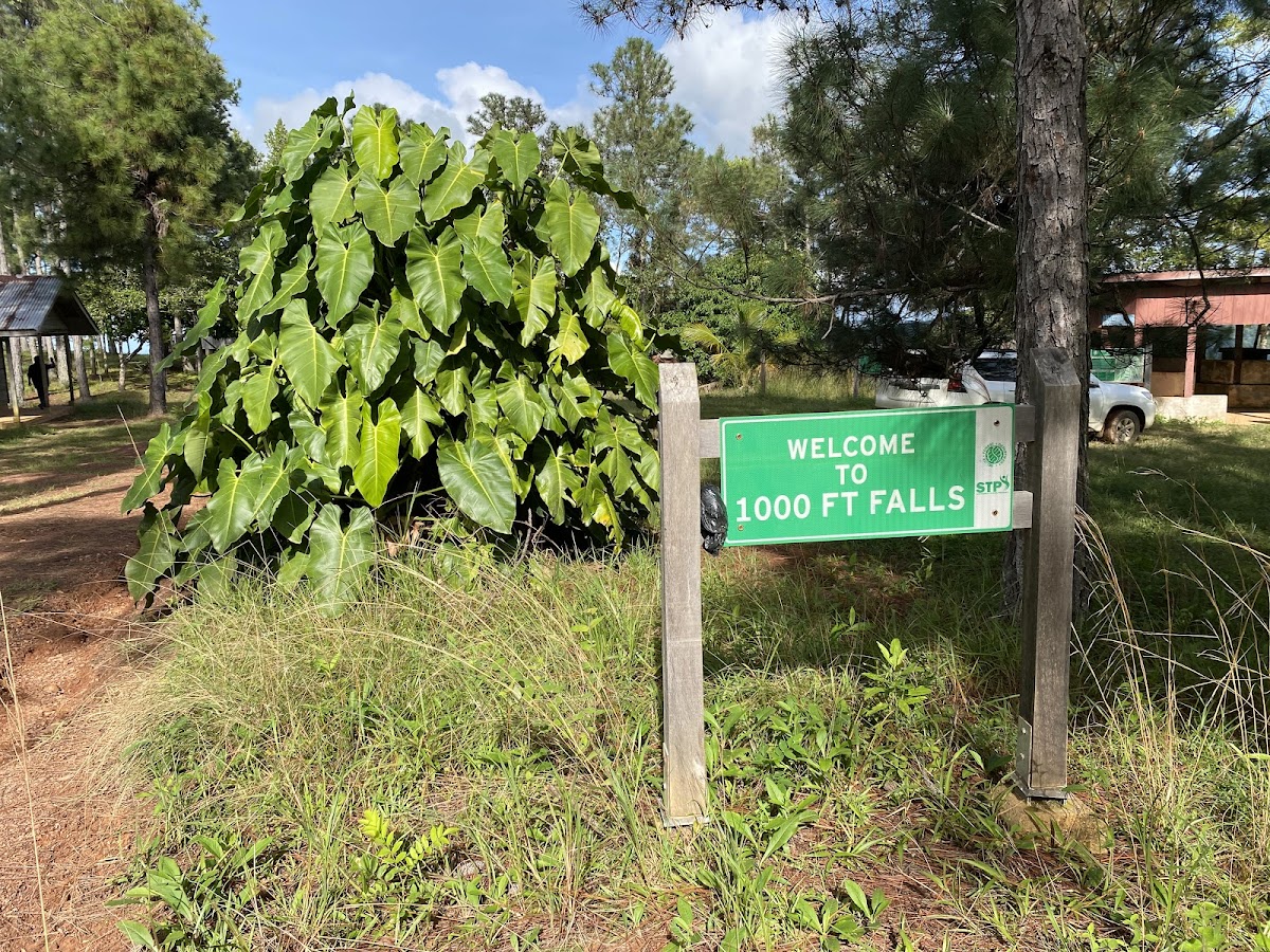 Thousand Foot Falls gallery 7