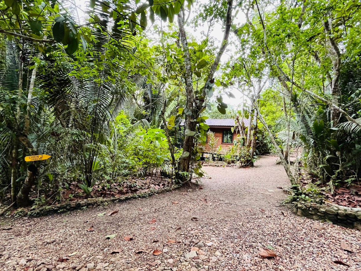 Green Jay Cabins gallery 9