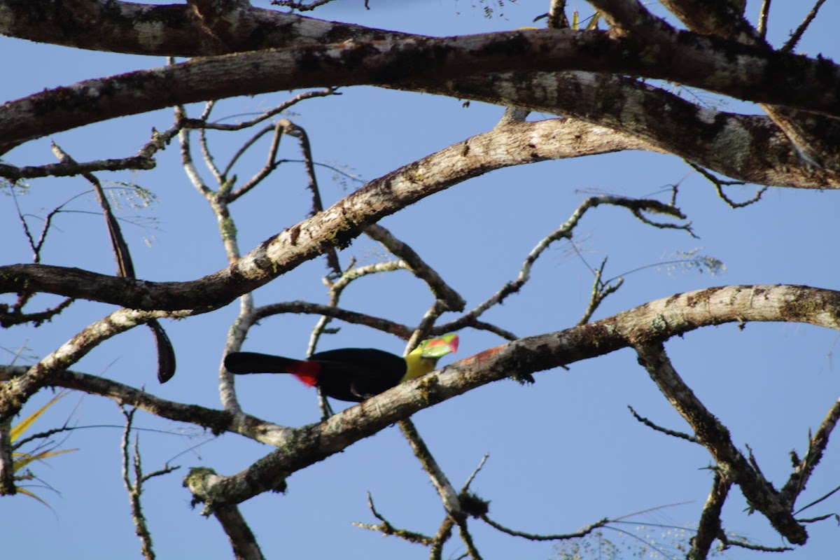 Warrie Head Resort gallery 6