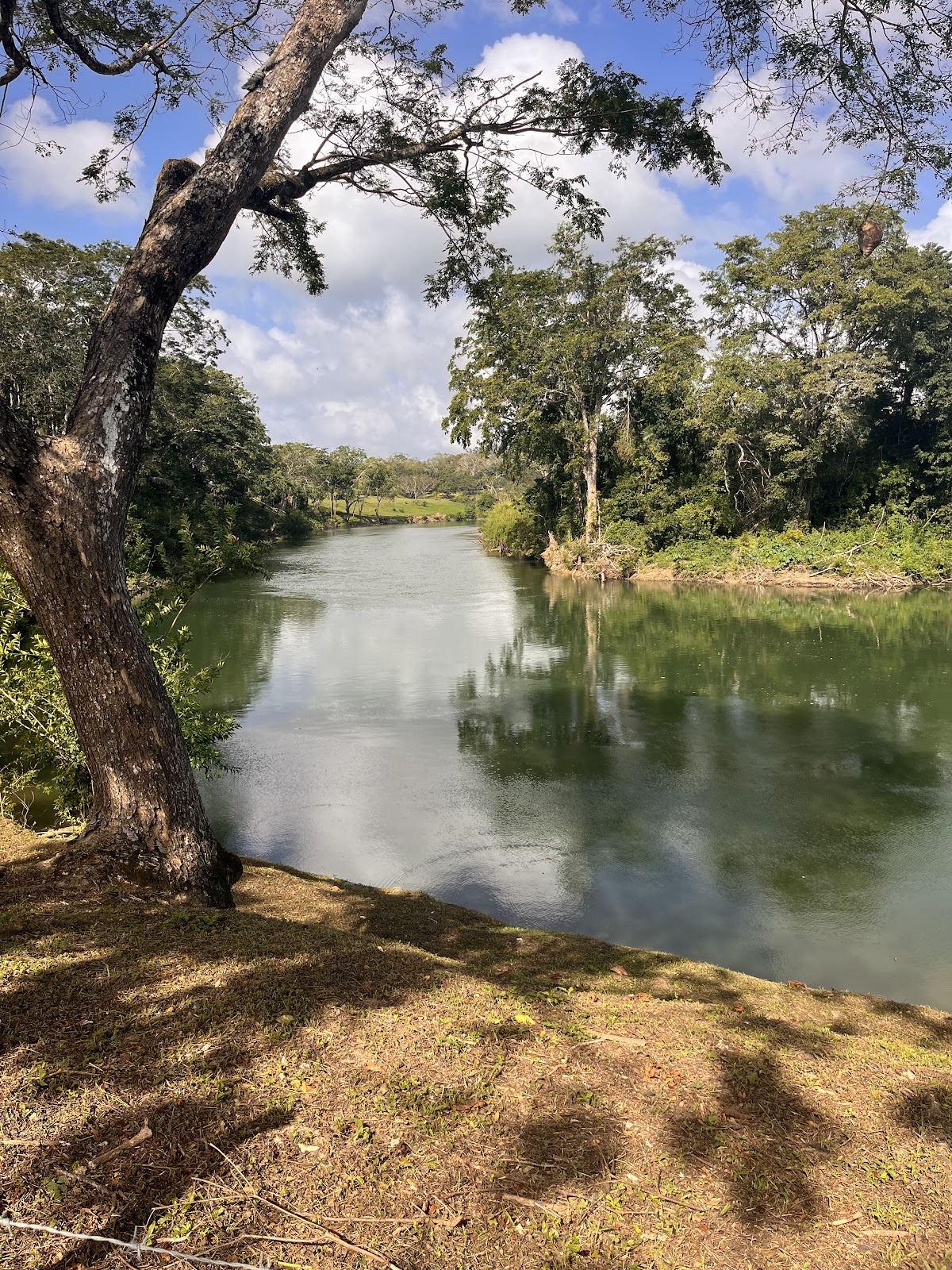 Warrie Head Resort gallery 8