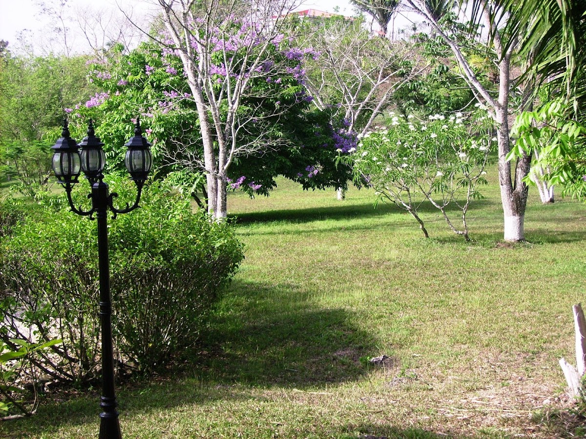 Leslie's Private Paradise gallery 4