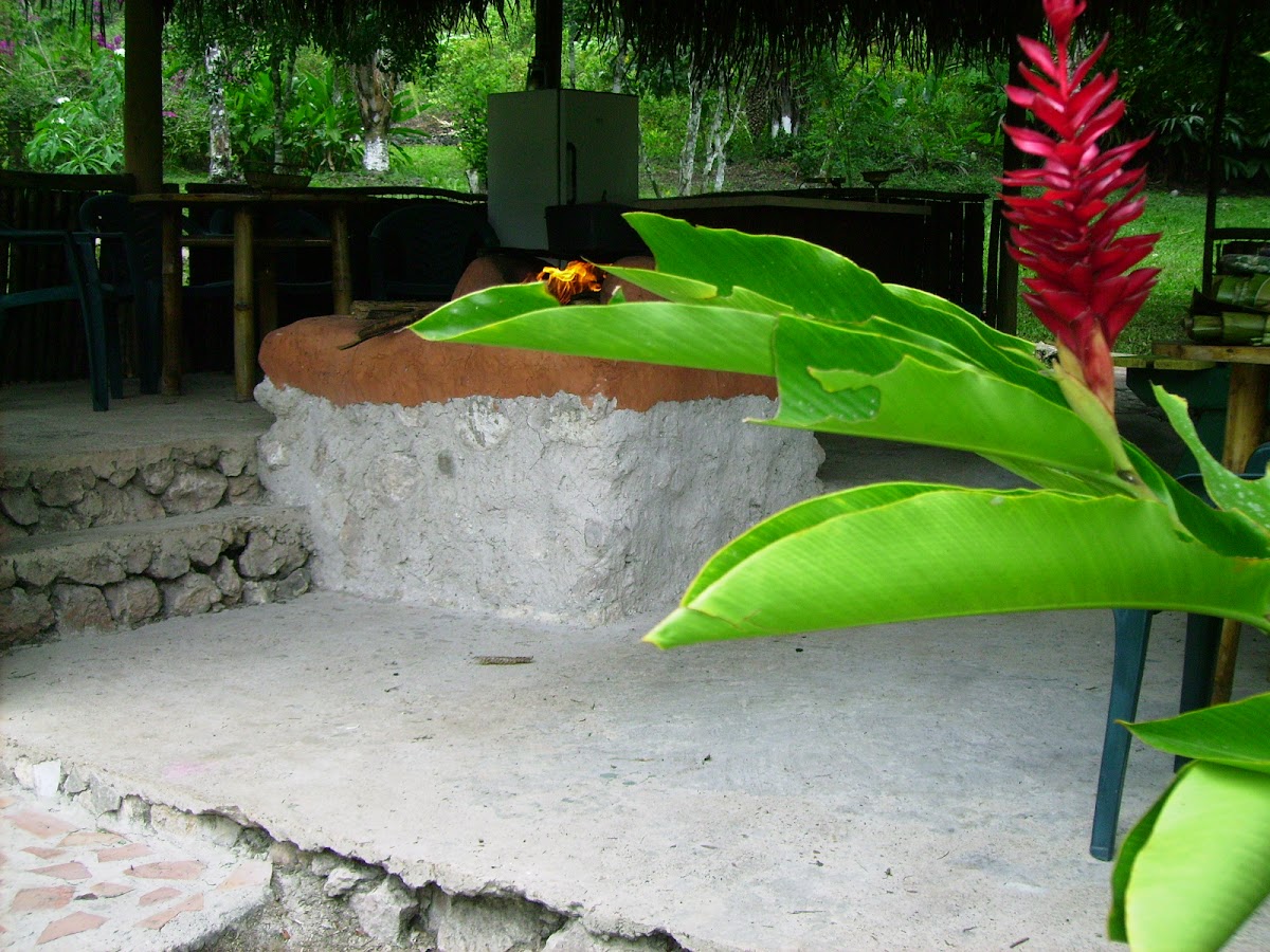 Leslie's Private Paradise gallery 6