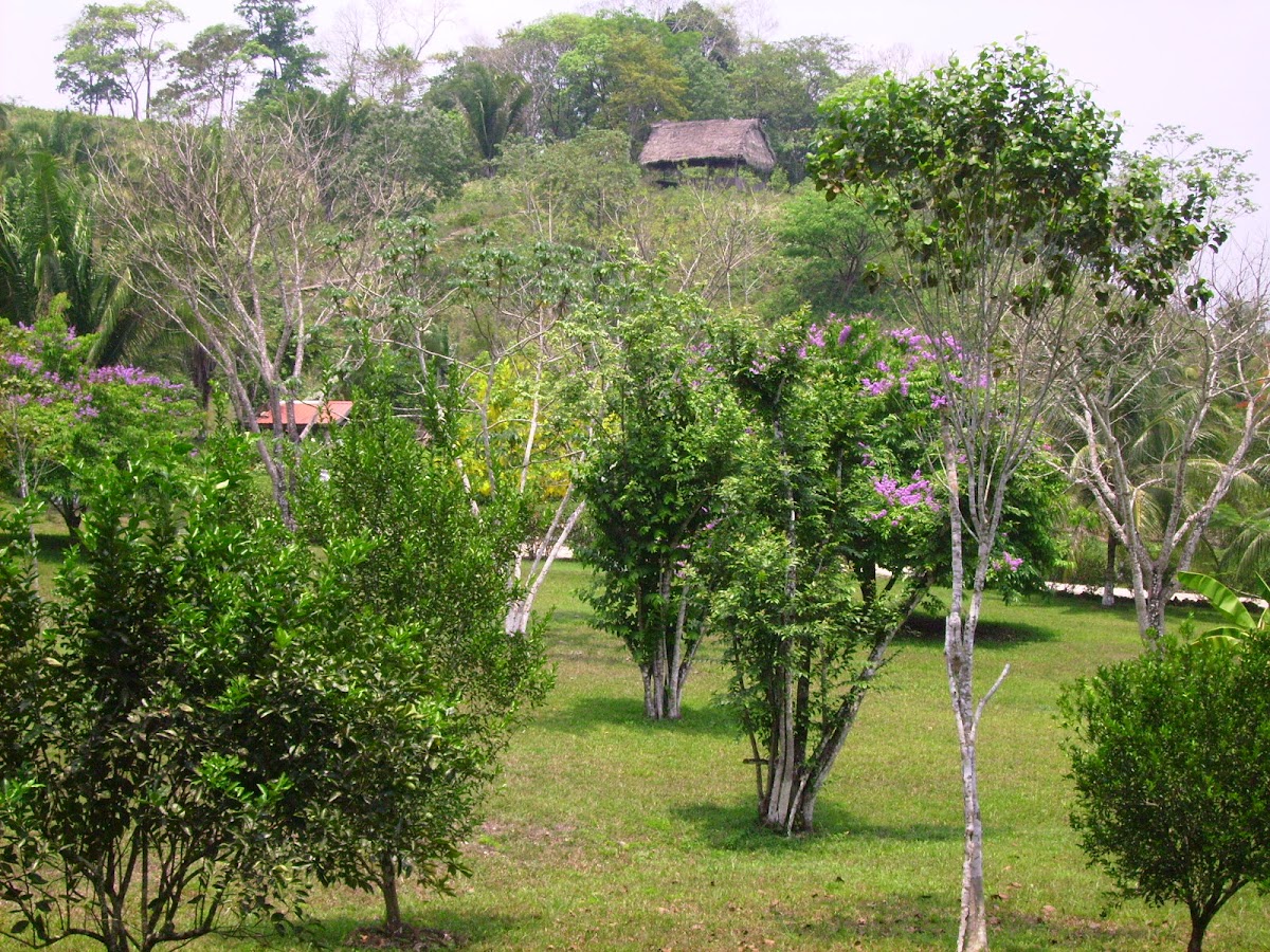 Leslie's Private Paradise gallery 8