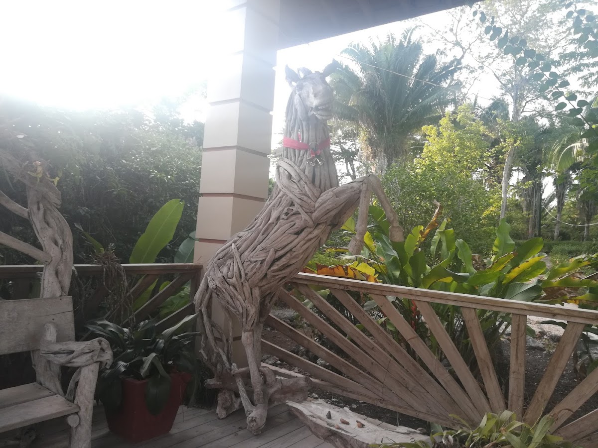 Juntos Cottages & Rooms gallery 5