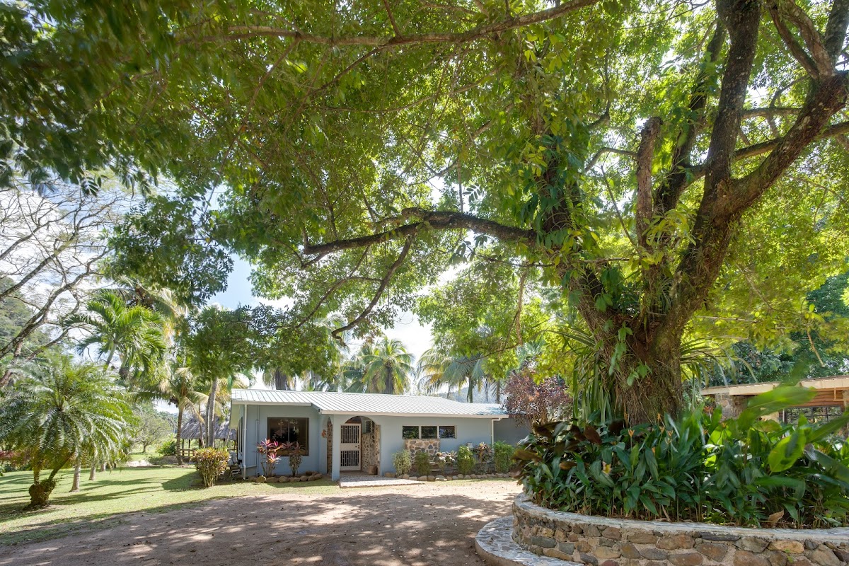 The Orchard House gallery 7