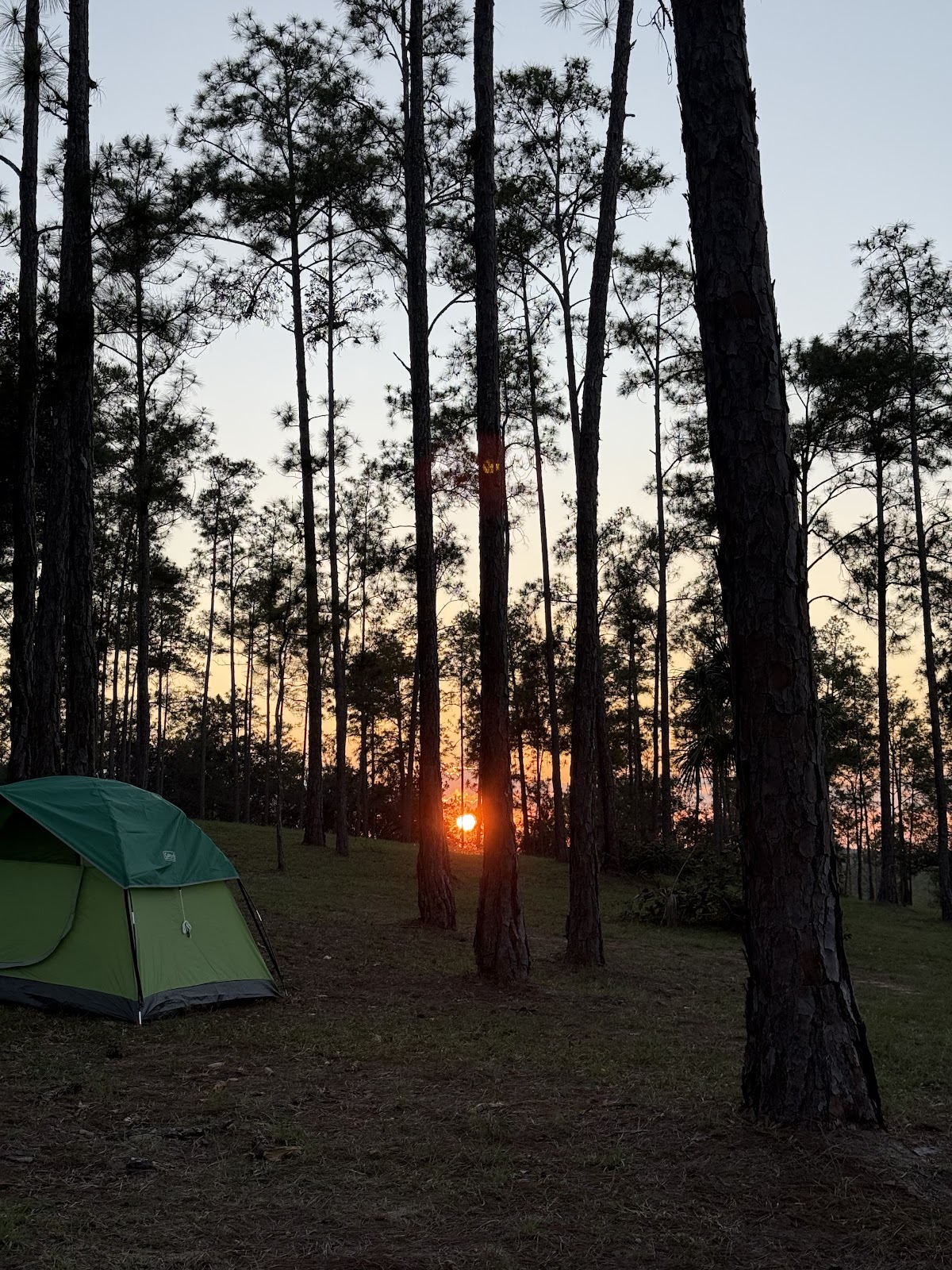 San Miguel Campgrounds gallery 2